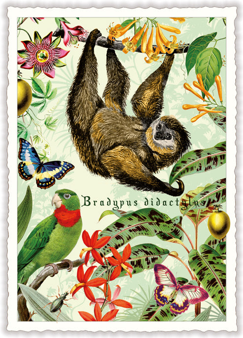 Postkarte PK 1121, "Faultier" - Wildlife Edition